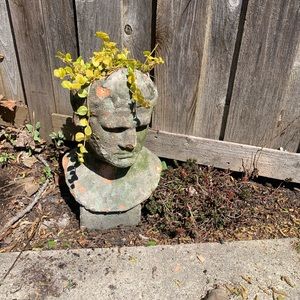 Meet your Posher, Ann